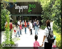 باغ وحش و باغ پرندگان 